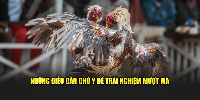 Những điều cần chú ý để trải nghiệm mượt mà